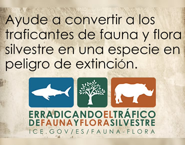 El tráfico de fauna y flora silvestre: El por qué la lucha contra este tipo de comercio ilícito es crítica